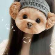 ヒメ日記 2025/07/16 01:42 投稿 白鳥　ここな NADIA東京新橋店