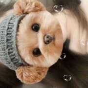 ヒメ日記 2025/08/18 01:52 投稿 白鳥　ここな NADIA東京新橋店