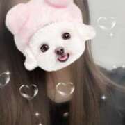 ヒメ日記 2025/09/03 23:01 投稿 白鳥　ここな NADIA東京新橋店