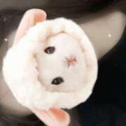 ヒメ日記 2025/09/06 00:48 投稿 白鳥　ここな NADIA東京新橋店