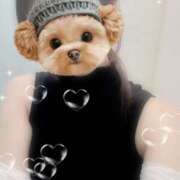 ヒメ日記 2025/09/19 04:06 投稿 白鳥　ここな NADIA東京新橋店