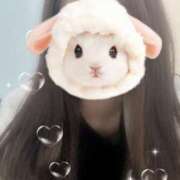 ヒメ日記 2025/09/24 23:56 投稿 白鳥　ここな NADIA東京新橋店