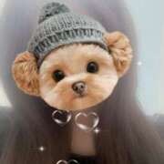 ヒメ日記 2025/09/26 02:19 投稿 白鳥　ここな NADIA東京新橋店