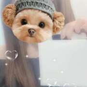 ヒメ日記 2025/10/09 01:34 投稿 白鳥　ここな NADIA東京新橋店