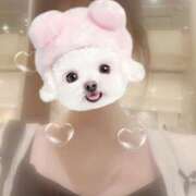 ヒメ日記 2025/10/13 23:49 投稿 白鳥　ここな NADIA東京新橋店