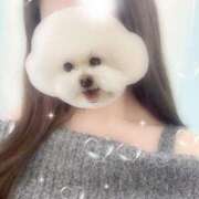 ヒメ日記 2025/11/17 21:28 投稿 白鳥　ここな NADIA東京新橋店