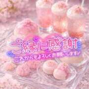 ヒメ日記 2026/03/24 15:47 投稿 綾瀬 人妻楼 木更津店