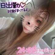 ヒメ日記 2026/08/07 12:52 投稿 綾瀬 人妻楼 木更津店