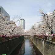 ヒメ日記 2025/04/06 15:39 投稿 白羽 人妻楼 木更津店