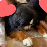 ヒメ日記 2025/04/18 13:11 投稿 三原 人妻楼 木更津店