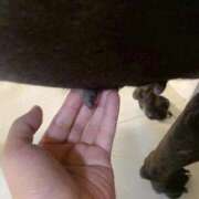 ヒメ日記 2025/07/06 00:11 投稿 三原 人妻楼 木更津店