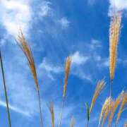 ヒメ日記 2025/11/10 04:12 投稿 三原 人妻楼 木更津店