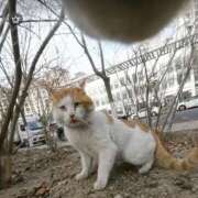 ヒメ日記 2026/01/23 13:30 投稿 三原 人妻楼 木更津店