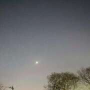 ヒメ日記 2026/04/03 13:31 投稿 三原 人妻楼 木更津店