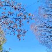 ヒメ日記 2026/04/08 13:30 投稿 三原 人妻楼 木更津店