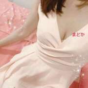 ヒメ日記 2024/12/23 08:15 投稿 まどか 若葉