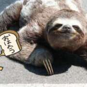 ヒメ日記 2024/12/26 16:22 投稿 平良あきら AJ DOLLS(エージェイドールズ)