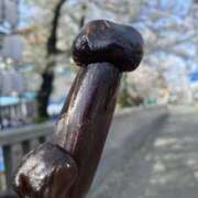 ヒメ日記 2025/04/06 12:35 投稿 せな★ 恵里亜(エリア)