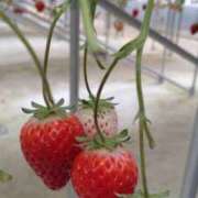 えりか★ 4月29日㈫ 恵里亜(エリア)