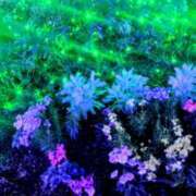 ヒメ日記 2026/01/11 21:34 投稿 かおり 川崎三浦屋