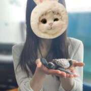 ヒメ日記 2025/06/19 12:03 投稿 朱　あかり シャトールーブル