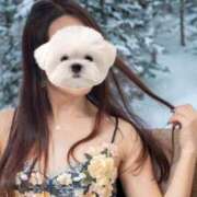 ヒメ日記 2025/02/17 18:21 投稿 菫　すみれ シャトールーブル