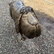 ヒメ日記 2025/02/24 15:48 投稿 菫　すみれ シャトールーブル