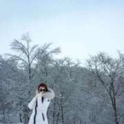 ヒメ日記 2025/03/08 00:03 投稿 菫　すみれ シャトールーブル