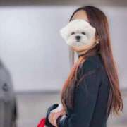 ヒメ日記 2025/03/17 12:18 投稿 菫　すみれ シャトールーブル