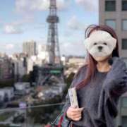 ヒメ日記 2025/03/26 19:57 投稿 菫　すみれ シャトールーブル