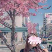 ヒメ日記 2025/04/02 16:33 投稿 菫　すみれ シャトールーブル