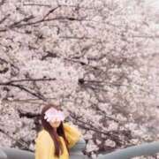 ヒメ日記 2025/04/04 14:18 投稿 菫　すみれ シャトールーブル