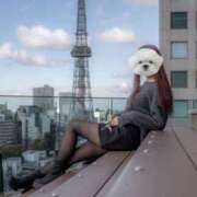 ヒメ日記 2025/04/06 17:33 投稿 菫　すみれ シャトールーブル