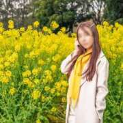 ヒメ日記 2025/04/07 23:42 投稿 菫　すみれ シャトールーブル