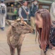 ヒメ日記 2025/04/08 11:12 投稿 菫　すみれ シャトールーブル