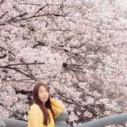 ヒメ日記 2025/04/14 10:18 投稿 菫　すみれ シャトールーブル