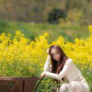 ヒメ日記 2025/04/18 09:57 投稿 菫　すみれ シャトールーブル