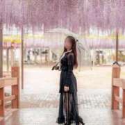 ヒメ日記 2025/05/27 16:03 投稿 菫　すみれ シャトールーブル