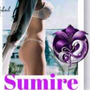 ヒメ日記 2026/04/04 01:33 投稿 菫　すみれ シャトールーブル