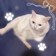 ヒメ日記 2025/12/15 14:30 投稿 なみ イキなり生彼女from大宮