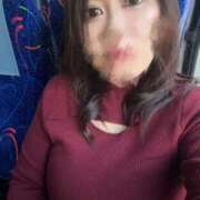 ヒメ日記 2025/11/27 08:03 投稿 八代(やしろ) 八王子人妻城