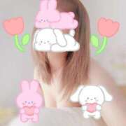 ヒメ日記 2024/12/29 14:10 投稿 ゆき Ｓ＆Ｍ　極嬢