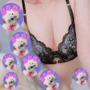 ヒメ日記 2025/04/17 12:34 投稿 ゆき Ｓ＆Ｍ　極嬢