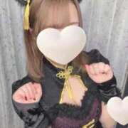 わかな 本日も🐈🐾 素敵な女の子は好きですか？