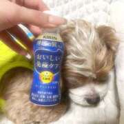 ヒメ日記 2025/04/14 23:27 投稿 AI【あい】 ViVi-ヴィヴィ-(金津園)