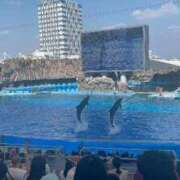 ヒメ日記 2025/08/03 23:47 投稿 AI【あい】 ViVi-ヴィヴィ-(金津園)