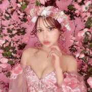 ヒメ日記 2025/11/28 07:37 投稿 AI【あい】 ViVi-ヴィヴィ-(金津園)