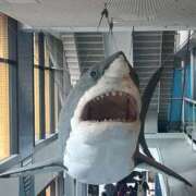 ヒメ日記 2026/03/01 05:47 投稿 AI【あい】 ViVi-ヴィヴィ-(金津園)