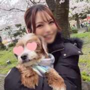 ヒメ日記 2026/03/23 14:27 投稿 AI【あい】 ViVi-ヴィヴィ-(金津園)