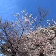 ヒメ日記 2026/03/24 20:37 投稿 AI【あい】 ViVi-ヴィヴィ-(金津園)